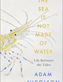 The Sea Is Not Made of Water Online Sale