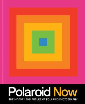 Polaroid Now : The History and Future of Polaroid Photography on Sale