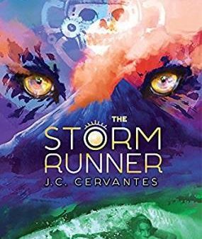 The Storm Runner For Sale