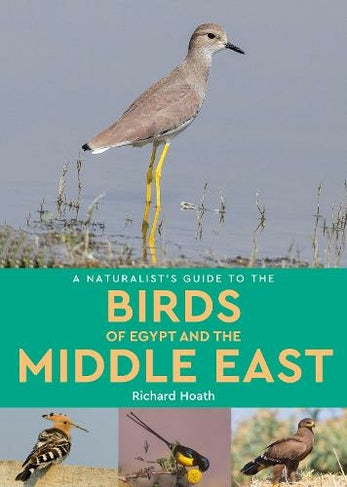 A Naturalist s Guide to the Birds of Egypt and the Middle East For Cheap