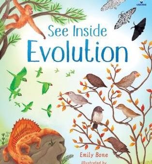 See Inside Evolution (Usborne Flap Book) For Sale