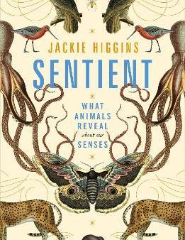 Sentient : What Animals Reveal About Our Senses Hot on Sale