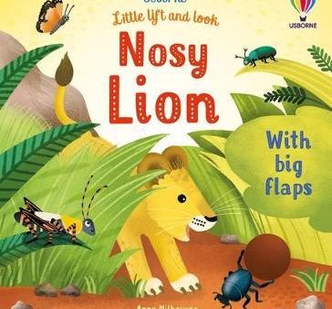 Usborne Little Lift and Look: Nosy Lion Online now