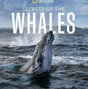 Secrets of the Whales Supply